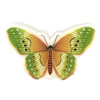 Ночник ULTRA LIGHT NL-239 Бабочка с выключателем 220В LED