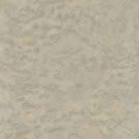 Обои Yudashkin 82098 1,06*10,05м (1упак-4рул) (Emiliana) (Yudashkin 2)