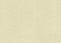 Обои AS Германия 35601-3 (MIR shabby Dam) 1,06*10,05м (1упак-6рул)