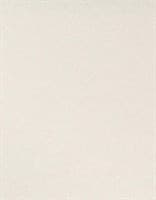 Обои ERISMANN Германия Josepha 5139-39 1,06*10,05м (1упак-6рул)