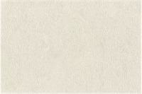 Обои EURO DECOR Scandi фон 9040-00 виниловые 1,06*10,05м (1упак-6рул)