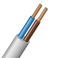Провод 220W ПВС 2*2,5 белый