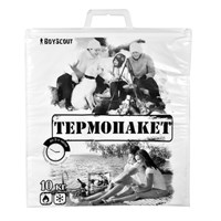 Термопакет BOYSCOUT 42*45см, пластиковая ручка, Мах нагрузка до 10кг 61435