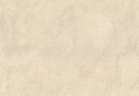 Обои EURO DECOR Hermes фон 9064-01/9064-010 виниловые 1,06*10,05м (1упак-6рул)