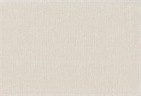 Обои EURO DECOR Omega фон 8021-11 виниловые 1,06*10,05м (1упак-6рул)