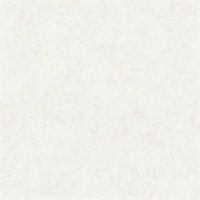 Обои VS Victor фон 998912 виниловые 1,06*10,05м (1упак-6рул) (МАЯКПРИНТ)