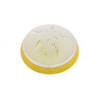 Светильник ЗАРЯ потолочно-настенный LED 24 W яблоко роза ветров 3540