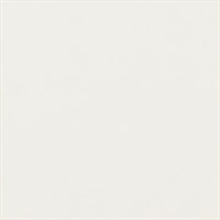 Вставка PARADYZ напольная MODERN BIANCO TACO MAT. 4,8X4,8 G1
