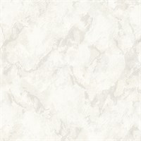 Обои EURO DECOR Aisha фон 9066-00 виниловые 1,06*10,05м (1упак-6рул)