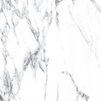 Керамогранит MK-Ceramics Amelia base white 60х60 AL0H00M05