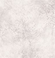 Обои EURO DECOR Palazzo фон 9088-11 виниловые 1,06*10,05м (1упак-6рул)