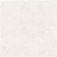 Обои EURO DECOR Verbena фон 6016-00 виниловые 1,06*10,05м (1упак-6рул)