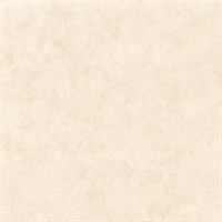 Обои EURO DECOR Verbena фон 6016-01 виниловые 1,06*10,05м (1упак-6рул)