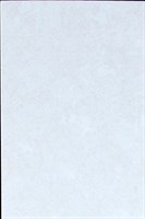 Плитка TSC облицовочная 20*30 светлая TP2324A