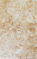 Плитка TSC напольная 30*30 TP2317D
