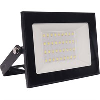 Прожектор HAIGER LED CN030 30W 6000K IP65 224-15366