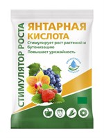 Кислота БИОМАСТЕР янтарная 4г