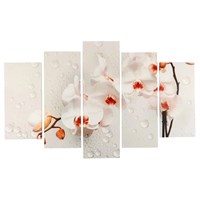 Картина модульная Ветка орхидеи! 2шт-25*50см, 2шт-25*67см, 25*80см, 80*140см 4675827