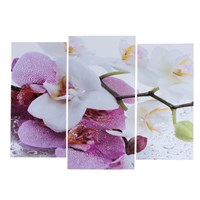 Картина модульная Краповая орхидея! 2шт-25*52см, 1шт-30*60см, 60*80см 3981588