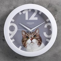 Часы настенные Животный мир Кот белый обод d=29см 2584135/11110193