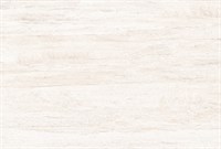 Плитка TSC облицовочная 20*30 TP2381A
