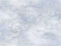 Обои VS Golden фон 281268 виниловые 1,06*10,05м (1упак-6рул) (МАЯКПРИНТ)