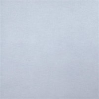 Обои VS Pantone фон 989934 1,06*10,05м (1упак-6рул) (Маякпринт)