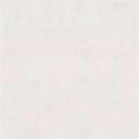 Обои EURO DECOR Altai фон 9109-01 виниловые 1,06*10,05м (1упак-6рул)