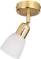Спот ESCADA 5039/1PA E14*40W Gold/White