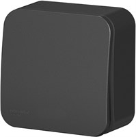 Выключатель SCHNEIDER ELECTRIC Blanca 1кл О/У изол.пл. 10А, антрацит BLNVA101016
