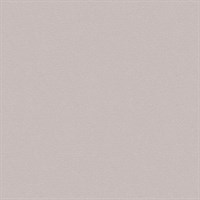 Обои ERISMANN г.Москва Basic 60095-05 1,06*10,05м (1упак-6рул)
