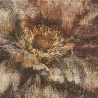 Обои SIRPI Италия 17543 0,70*10,05м (1упак-4рул) (Murogro Impression)