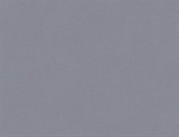 Обои VS Pantone декор 989927 1,06*10,05м (1упак-6рул) (Маякпринт)
