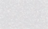 Обои VS Basic line 989987 виниловые 1,06*10,05м (1упак-6рул) (Ateliero)