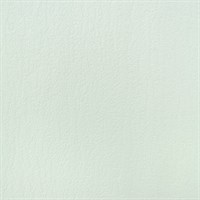 Обои ERISMANN г.Москва Defender Color 2856-5 1,06*25м (1упак-4рул)
