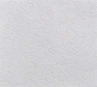 Обои ПАЛИТРА Россия PL44045-01a 1,06*25м (1упак-5рул)