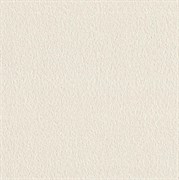 Обои EURO DECOR Amrita фон 9090-00 виниловые 1,06*10,05м (1упак-6рул)