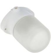 Светильник Заря потолочно-настенный IP54 60Вт НПБ-400 2759