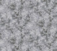 Обои AS Германия (Sakura) 37542-1 1,06*10,05м (1упак-6рул)