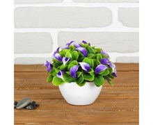 Бонсай 12*12см с каллами МИКС 2329563