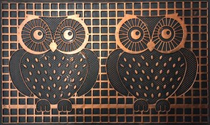 Коврик придверный RICCO Oxford owl mat 45*75 zloty 801-001