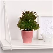 Бонсай Кустовой 7*18 см МИКС 2797345