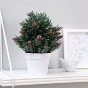 Бонсай Хвойный куст 10*24см 4736478