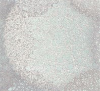 Обои EURO DECOR Samui декор 9067-04 виниловые 1,06*10,05м (1упак-6рул)