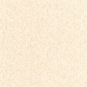 Обои ПЕРМСКИЕ Паутинка-2 548-08 ДГ6 0,53*10,05м (1упак-16рул)