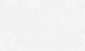 Обои VS Alicante фон 989141 1,06*10,05м (1упак-6рул) (Ateliero)