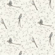 Обои AS Германия (Birds) 38222-2 1,06*10,05м (1упак-6рул)