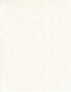 Обои EURO DECOR Casa Alpina PF1-12-004 виниловые 1,06*25м (1упак-4рул)