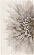 Декор ХАРЬКОВСКАЯ 250*400 Зебрано бежевый К61301 1с
