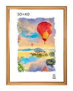 Фоторамка ЗЕБРА 30*40 пластиковая (303) цвет песочный